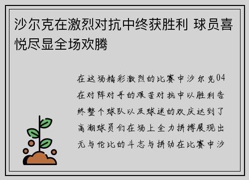 沙尔克在激烈对抗中终获胜利 球员喜悦尽显全场欢腾